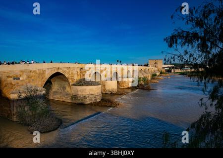 Römische Brücke und Kathedrale der Cordoba-Moschee, Andalusien, Spanien Stockfoto