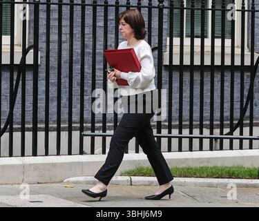 London, Großbritannien. Juni 2025. Lucy Powell, Anführerin des Unterhauses, Abgeordneter Manchester Central, wird in der Downing Street gesehen. Quelle: Imageplotter/Alamy Live News Stockfoto
