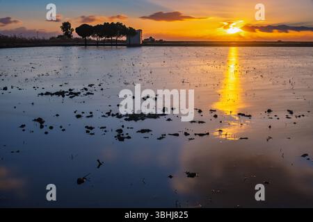 Die lange Exposition fängt den atemberaubenden Sonnenuntergang über den Reisfeldern auf Isla Mayor, Sevilla, ein und erzeugt lebendige Reflexionen im stillen Wasser. Stockfoto