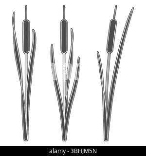 Satz von Schwarz-weiß-Illustrationen mit Raubkatzen, Schilf. Isolierte Vektorobjekte auf weißem Hintergrund. Stock Vektor