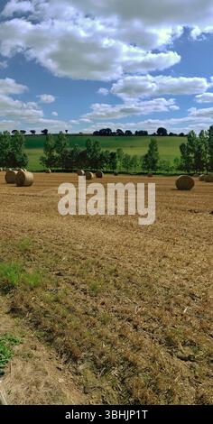 Ein Panoramablick auf Ackerland mit Heuballen, grünen Hügeln und einem hellblauen Himmel. Stockfoto