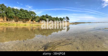 Ruhige Küste mit klarem Wasser, sandigem Gelände und malerischen Bäumen unter hellem Himmel. Stockfoto