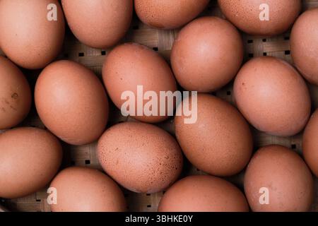 Foto von frischen Eiern, die ordentlich in einem Eierkarton in einem Supermarkt angeordnet sind. Die Eier sind sauber und ordentlich organisiert und zeigen das Konzept. Stockfoto