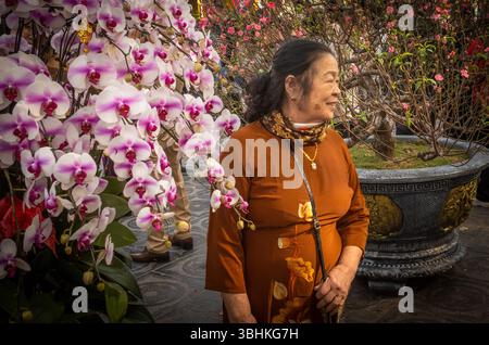 Eine ältere vietnamesische Frau in Ao Dai posiert für Fotos neben Blumen am Mondneujahr (Tet), der Tran Quoc Pagoda, Hanoi, Vietnam Stockfoto