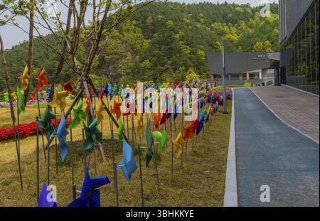 Muju, Südkorea. Mai 2019: Reihen von bunten Rädern auf dem Rasen vor dem National Taekwondo Museum mit dem Experience Center Gebäude in Backgr Stockfoto