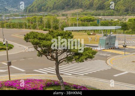 Muju, Südkorea. 1. Mai 2019: Getrimmter immergrüner Baum und violette Azaleen an der Ecke des Eingangstors zum Taekwondowon mit Bergen im Hintergrund Stockfoto