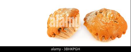 Köstliche Muffins isoliert auf weißem Hintergrund. Breites Foto. Freier Platz für Text. Stockfoto
