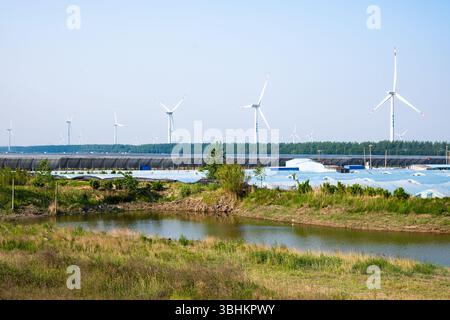 Große Solarparks und Windturbinen sind auf dem Lande üblich. Provinz Jiangsu, China. Stockfoto