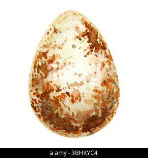 Aquarellillustration eines braunen gesprenkelten Wildvogeleis in natürlichen Erdtönen. Perfekt für Frühling, Ostern, Tierwelt und rustikale Motive Stockfoto