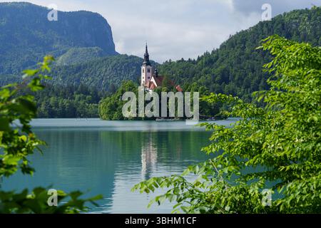 Ein traumhafter Blick auf den Bleder See in Slowenien mit blühenden Kastanienbäumen, die die Inselkirche vor den üppigen Hügeln der Alpen umrahmen. Hochwertige Fotos Stockfoto