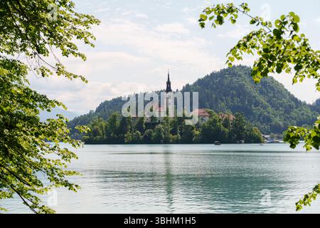 Ein traumhafter Blick auf den Bleder See in Slowenien mit blühenden Kastanienbäumen, die die Inselkirche vor den üppigen Hügeln der Alpen umrahmen. Hochwertige Fotos Stockfoto