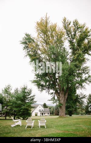 Drei weiße Stühle befinden sich unter einem hoch aufragenden Baum in einem ruhigen Gartenbereich in der Nähe eines charmanten Hauses. Stockfoto