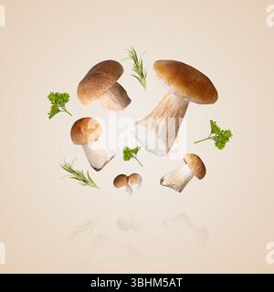 Pilzboletus und grüne Blätter von Petersilie und Rosmarin fliegen in der Luft auf beigefarbenem Hintergrund. Ernte von frischem kep. Essen, Design, Herbst. Naturkonzept. Stockfoto