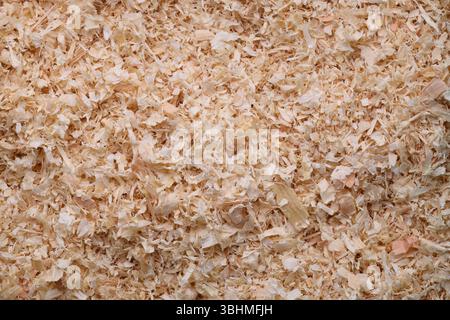 Nahaufnahme der Naturholz-Sägemehl-Textur Stockfoto