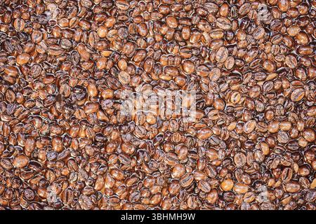 Kaffeebohnen in Epoxidharz. Dekorative Wandfläche. Nahaufnahme mit strukturiertem Detail. Glänzender Hintergrund mit natürlichen Brauntönen. Kreatives Designmaterial. Stockfoto