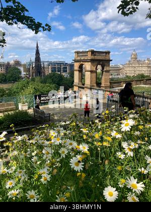 Blick vom Museum on the Mound Garden in Richtung Scott Monument und New Town Daches, Stadtzentrum, Edinburgh Schottland Stockfoto