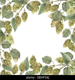 Aquarellhops Ast Squarecframe. Hopfenbitterblätter und grüne Kegel Pflanzen lockigen Zweigstiel. Handgezeichnete Blumenabbildung für Bieretikett, Brauen Stockfoto