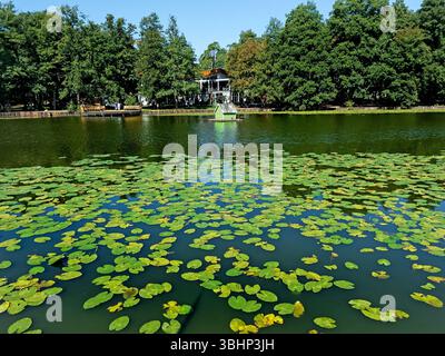 Wunderschöner Blick auf den See im öffentlichen Tortilin Park in Zelenogradsk, Russland Stockfoto