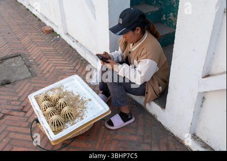 Eine Verkäuferin mit ihrem Tablett aus kleinen Bambuskäfigen mit jeweils zwei kleinen Vögeln auf der Sisvangvong Road in Luang Prabang, Nord-Laos, Südostasien. Stockfoto