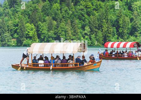 Touristen, die an einem sonnigen Tag eine traditionelle hölzerne Pletna-Bootsfahrt auf dem Bleder See in Slowenien genießen. Hochwertige Fotos Stockfoto