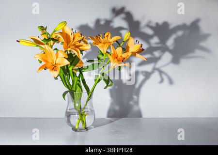 Orangene Lilienblüten in einer Glasvase, die einen Schatten gegen eine graue Wand wirft, Kopierraum, ausgewählter Fokus, geringe Schärfentiefe Stockfoto