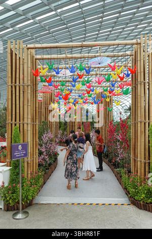 Singapur, der Flower Dome ist ein Teil des Gardens by the Bay, einem 101 Hektar großen Naturpark im Zentrum Singapurs. Der Flower Dome beherbergt Pflanzen aus fünf Kontinenten, die in neun verschiedenen Gärten ausgestellt werden. Foto © Fabio Mazzarella/Sintesi/Alamy Stock Photo Stockfoto