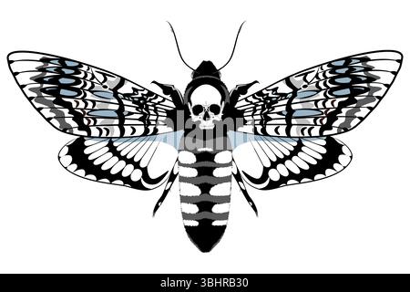 Motten toter Kopf Stock Vektor