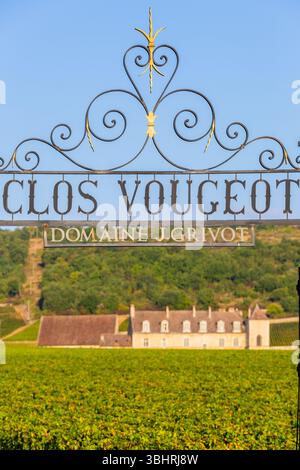 Chateau Clos de Vougeot, Weingut J.Grivot im Côte-d'Or. Das Schloss im Hintergrund Stockfoto