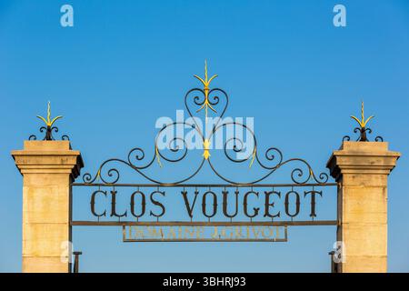 Chateau Clos de Vougeot, Weingut J.Grivot im Côte-d'Or. Stockfoto