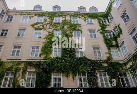 Altes Apartmentgebäude, bedeckt mit grünen Efeureben an bewölktem Tag, Konzept der Natur, die städtisch zurückerobert Stockfoto