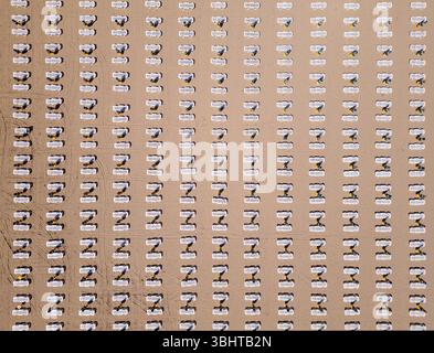 Von oben aus blickt man auf perfekt ausgerichtete Liegestühle und Sonnenschirme auf sandigem Boden. Sich wiederholende geometrische Muster erzeugen ein minimalistisches und Stockfoto