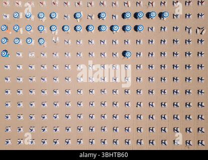 Von oben aus blickt man auf perfekt ausgerichtete Liegestühle und Sonnenschirme auf sandigem Boden. Sich wiederholende geometrische Muster erzeugen ein minimalistisches und Stockfoto