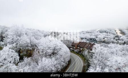 Im April 2025 bedeckte ein Eissturm die Bäume am Beach Mountain, North Carolina. Die hohe Höhe und die kalten Temperaturen des Beech Mountain können immer noch dazu führen Stockfoto