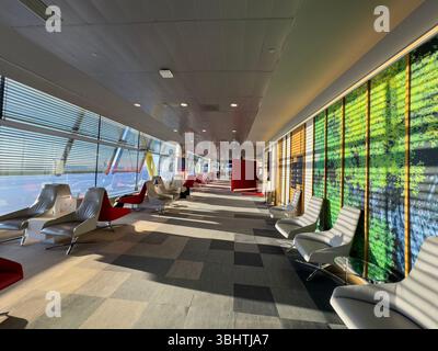 Iberia Velázquez Premium Lounge, Adolfo Suárez Madrid-Barajas Airport Terminals T4S, entworfen von den Architekten Antonio Lamela und Richard Rogers Stockfoto