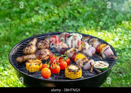 Verschiedene gegrillte Fleisch- und Gemüsesorten auf Holzkohlegrill auf grünem Grashintergrund Stockfoto