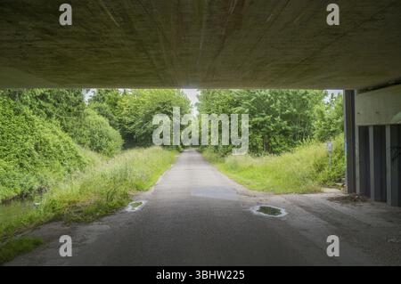 Borken, NRW, Deutschland, asphaltierte Straße, die unter einer Betonbrücke in einen Wald mit üppig grünen Bäumen führt, Europa Stockfoto
