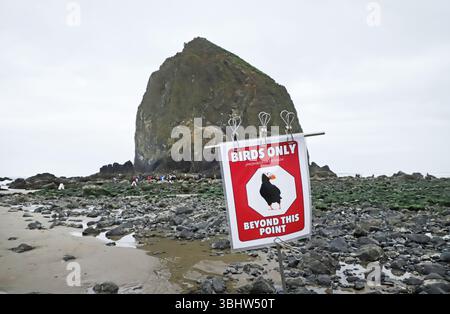 Ein Warnschild am Strand am Haystack Rock in Cannon Beach, Oregon, warnt Besucher, dass dies ein Vogelschutzgebiet für wandernde Tuftpuffins ist. Stockfoto