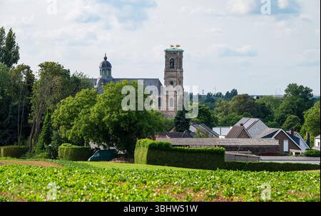 Landschaftsblick über grüne Felder und den Stiftsturm von Grimbergen, Flämisch-Brabant, Belgien 8. Juni 2025 Stockfoto