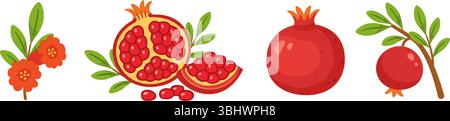 Granatapfelset, ganze und halbe Früchte mit Samen, Zweigen, grünen Blättern, Granatapfelblüten. Flache Ausführung, isolierte Symbole. Für digitale und gedruckte Projekte, Verpackungen, Grußkarten, botanische Poster Stock Vektor