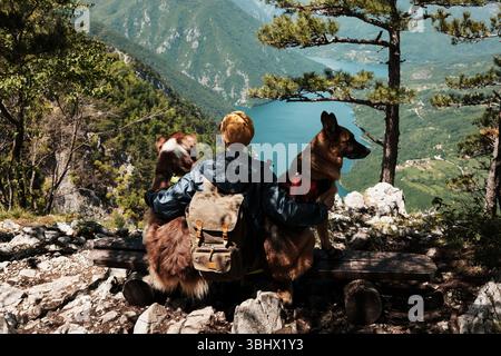 Frau sitzt mit zwei Hunden auf einer felsigen Klippe mit Blick auf den Drina-Fluss im Tara-Nationalpark, Serbien. Rückansicht. Atemberaubender Blick auf die Berge im Stockfoto