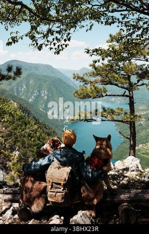 Frau sitzt mit zwei Hunden auf einer felsigen Klippe mit Blick auf den Drina-Fluss im Tara-Nationalpark, Serbien. Rückansicht. Atemberaubender Blick auf die Berge im Stockfoto