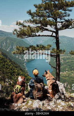 Frau sitzt mit zwei Hunden auf einer felsigen Klippe mit Blick auf den Drina-Fluss im Tara-Nationalpark, Serbien. Rückansicht. Atemberaubender Blick auf die Berge im Stockfoto