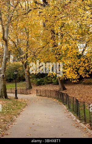 Ein ruhiger Pfad schlängelt sich durch den Central Park in New York City, gesäumt von goldenen Herbstbäumen und verstreuten gefallenen Blättern. Stockfoto