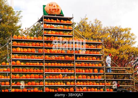 Ein Arbeiter macht an einem Herbsttag auf einem Pumpkin Festival in Keene, New Hampshire, eine große Halloween-Ausstellung den letzten Schliff Stockfoto