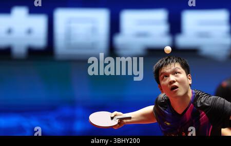 Peking, chinesische Provinz Hebei. Juni 2025. Fan Zhendong vom Team Shanghai ist beim Einzel-Spiel gegen Lin Shidong vom Team Huangshi beim Mannschaftsevent der China Table Tennis Super League 2025 in Xiongan New Area, nordchinesischer Provinz Hebei, 11. Juni 2025 dabei. Quelle: Yang Shiyao/Xinhua/Alamy Live News Stockfoto