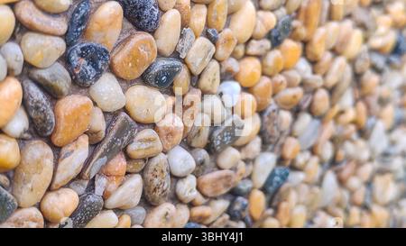 Nahaufnahme verschiedener farbenfroher Kieselsteine mit verschiedenen Texturen Stockfoto