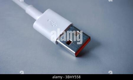 Nahaufnahme eines USB-Steckverbinders Typ A Stockfoto