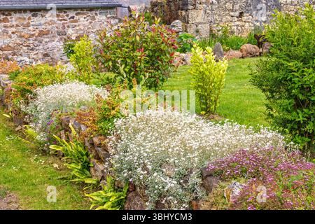 Wunderschöner Ziergarten mit Blumen an einer Steinmauer Stockfoto