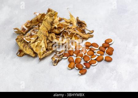 Sonnengetrocknete Bohnensprossen, isoliert auf weißem Hintergrund, sind ein gesundes Essen. Sie sind eine gute Quelle für Protein, Ballaststoffe und verschiedene Vitamine und Mineralien Stockfoto