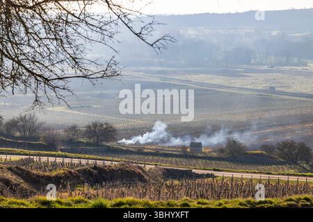 Rauchentwicklung aus brennenden Weinreben in Santenay Weinbergen während der Wintersaison, Cote d'Or, Bourgogne Franche Comte, Frankreich Stockfoto